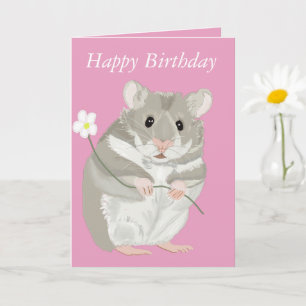 Schattigee grijs-witte hamster met kaart