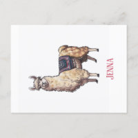 Schattigee grillige lama gepersonaliseerd