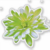 Schattigee groene bloemen groene bloem groene made sticker (Voorkant)