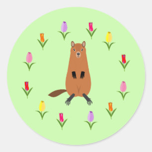 Schattigee Groundhog en Tulip Flowers Ronde Sticker