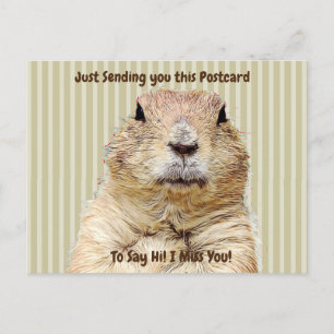 Schattigee Groundhog "I Miss YOU" Gezegde Hi Briefkaart