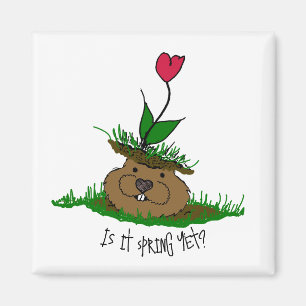 Schattigee Groundhog Op zoek naar de lente Magneet