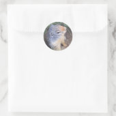 Schattigee Groundhog-Sticker Ronde Sticker (Tas)