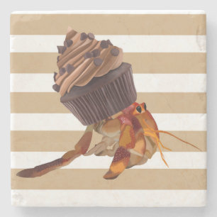 Schattigee heremietkrab met chocolade cupcake shel stenen onderzetter
