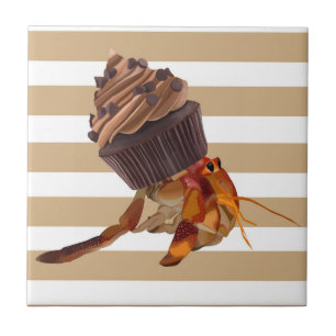 Schattigee heremietkrab met chocolade cupcake shel tegeltje