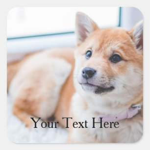 Schattigee hond gepersonaliseerde foto en tekst vierkante sticker