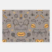 SCHATTIGEE HOND&KAT INPAKPAPIER VEL (Voorkant 2)