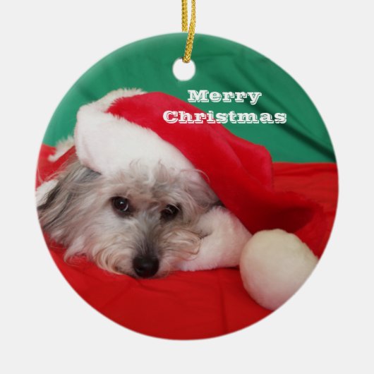 Schattigee hond met Pet kerstversiering Keramisch Ornament (Voorkant)