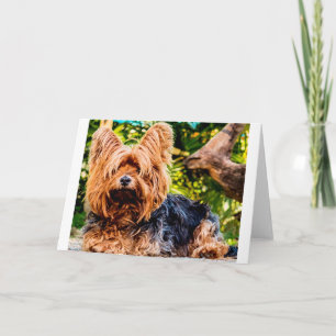 Schattigee hond Pet Yorkie Peace Love Destiny Fun Bedankkaart