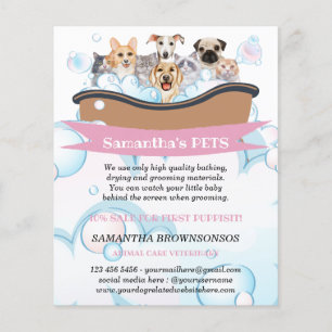 Schattigee Honden Katten Spa Sitter Groom PetCare  Flyer