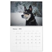 Schattigee hondenkalender kalender (Feb 2026)