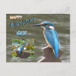 Schattigee ijsvogels. Happy Birthday Briefkaart