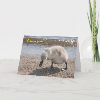 Schattigee "Ik mis je" Kaart