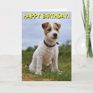 Schattigee Jack Russell verjaardagskaart Kaart