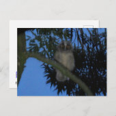 Schattigee Jonge Langooruil in Tree DIY Briefkaart (Voorkant / Achterkant)