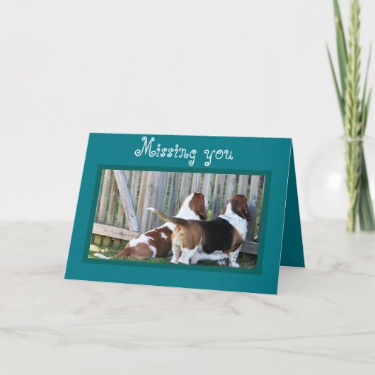 Schattigee Kaart "Missing You" met Bassets (Voorkant)