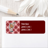 Schattigee kameel; rood geruite etiket (Insitu)