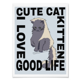 Schattigee kat goed leven foto afdruk