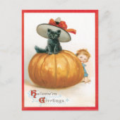 Schattigee kat in het Pet Briefkaart (Voorkant)