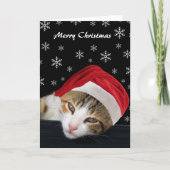 Schattigee Kat Kerst Kaarten (Voorkant)