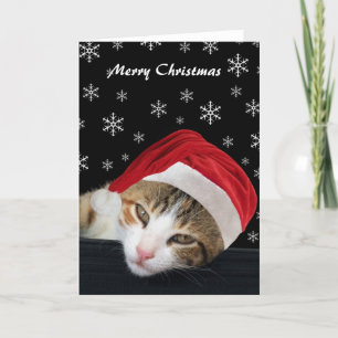 Schattigee Kat Kerst Kaarten