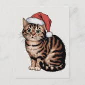 Schattigee kat met kerst pet feestdagenkaart (Voorkant)