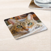 Schattigee kat onderzetters (Schuin)