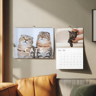 Schattigee katten fotowand kalender