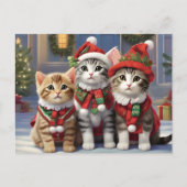 Schattigee katten met kerstmutsen briefkaart (Voorkant)