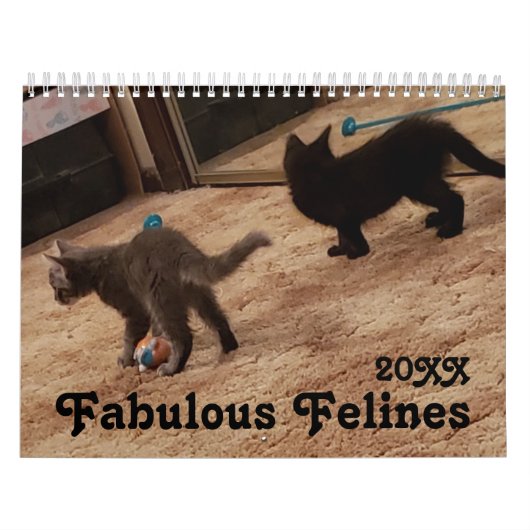 Schattigee kattenfoto's met leuke Gezegden Kalender (Hoes)