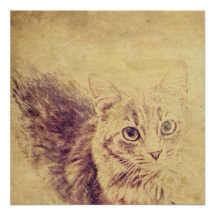 Schattigee kattenliefhebber potlood schets grijs t perfect poster