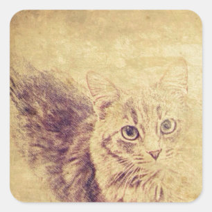 Schattigee kattenliefhebber potlood schets grijs t vierkante sticker