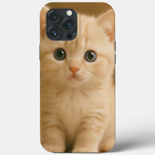 Schattigee kattentelefoonhoesje kan een leuk cadea iPhone 13 pro max hoesje