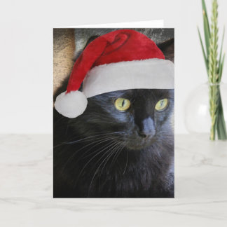 Schattigee Kerst Kaart, Zwarte Kat w Santa Pet Feestdagen Kaart