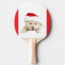 Schattigee kerst kitten & hart lijn kunst