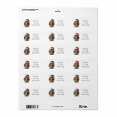 Schattigee kerst kiwi, op maat etiket (Full Sheet)