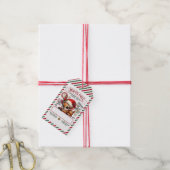 Schattigee kerstspecial van Santa Cadeaulabel (Met Touw)