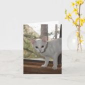 Schattigee kitten bedankt kaart (Gele Bloem)