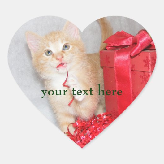 Schattigee kitten Kerst stickers (Voorkant)