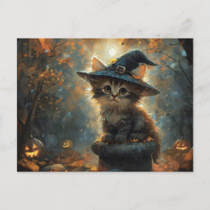 Schattigee kitten met een heks Pet Briefkaart