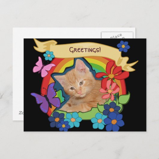 Schattigee kitten met Scrolls Briefkaart (Voorkant / Achterkant)