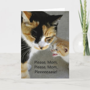 Schattigee kitten moeder Happy Birthday Kaart