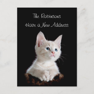 Schattigee kitten nieuw adres aankondigingskaart