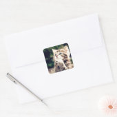 Schattigee Kitten Prays Vierkante Sticker (Envelop)