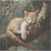 Schattigee kitten slapen in een boom  sticker (Voorkant)