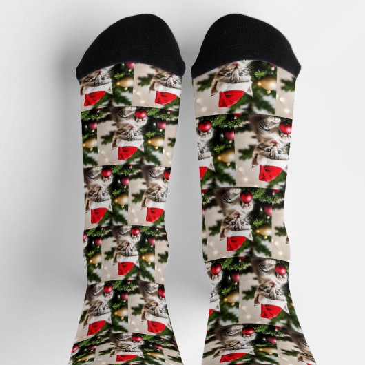 Schattigee kitten spelen met de kerstboomkat sokken (Top)