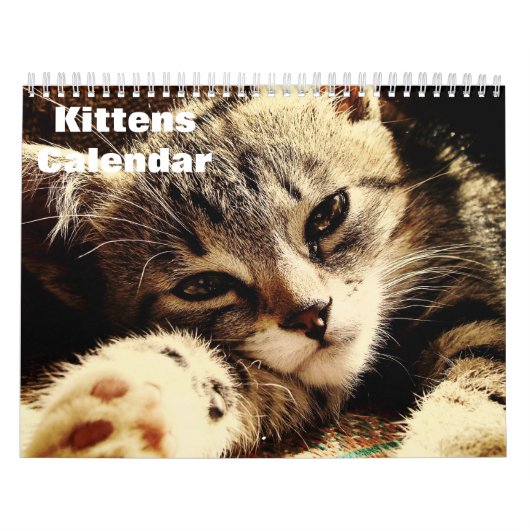 Schattigee Kittens 2025 Kalender (Hoes)