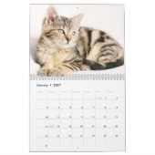 Schattigee Kittens 2025 Kalender (Jan 2027)