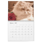 Schattigee Kittens 2025 Kalender (Feb 2027)