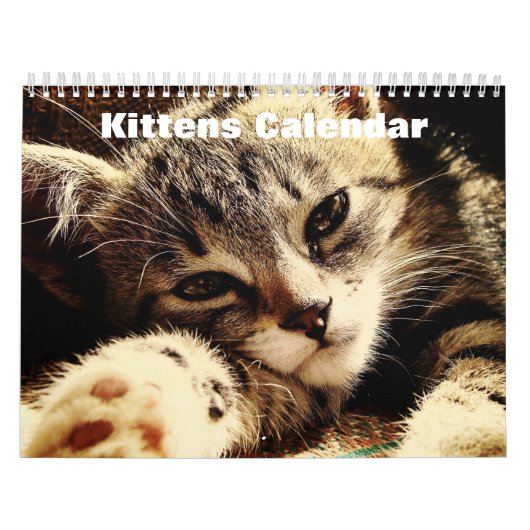 Schattigee Kittens 2025 Kalender (Hoes)